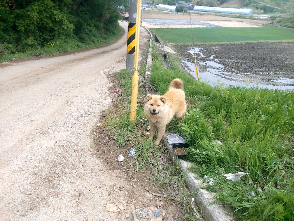 제일동물병원_444455202500307